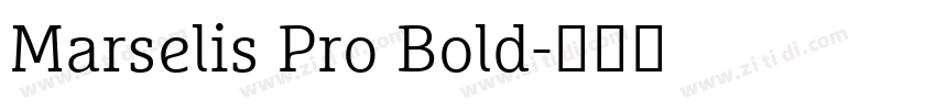 Marselis Pro Bold字体转换